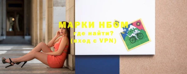 шишки Балахна