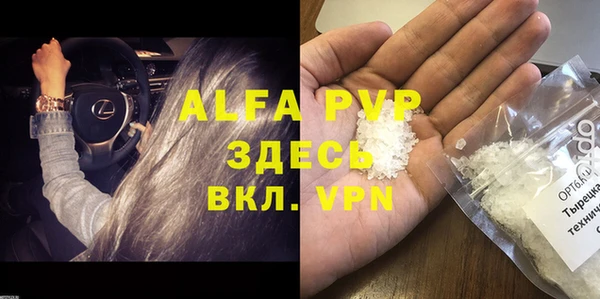 шишки Балахна